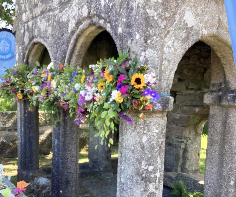 Hanging Baskets